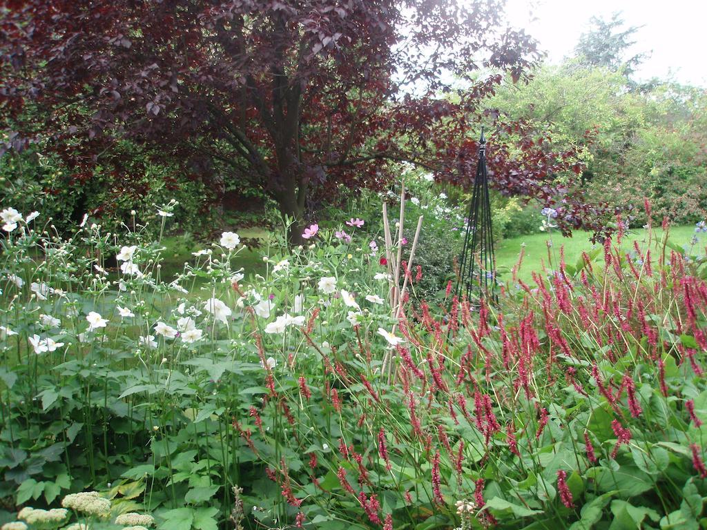 White House Farm Bed & Breakfast Hindolveston Екстериор снимка