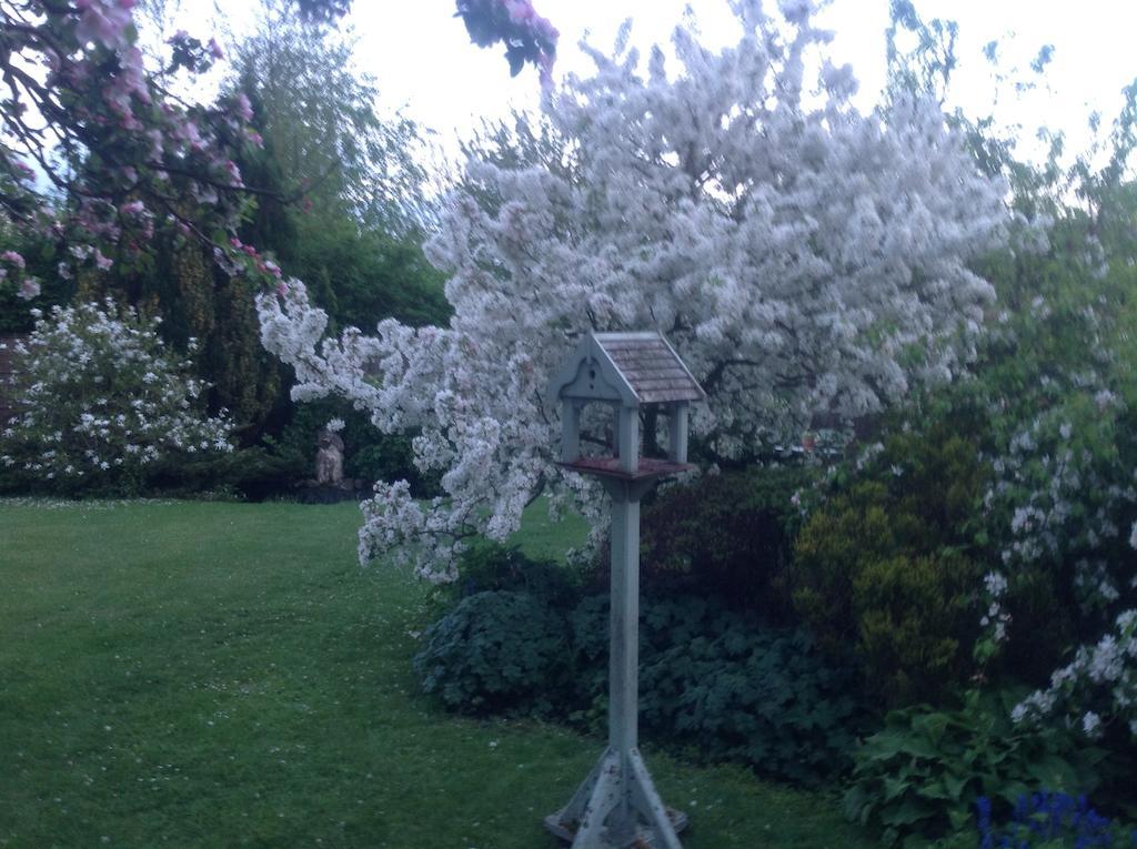 White House Farm Bed & Breakfast Hindolveston Екстериор снимка